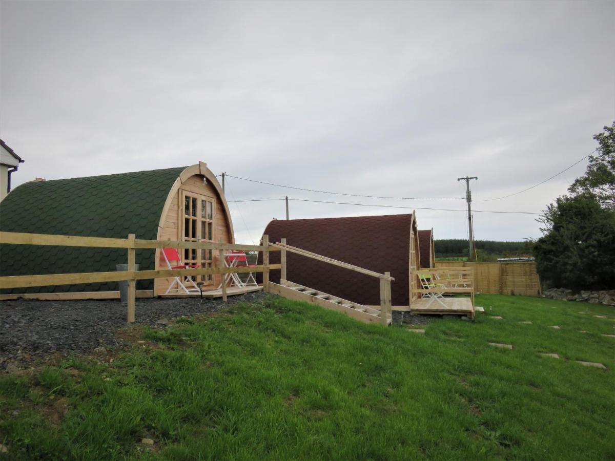Shannon Estuary Glamping Effernan Zewnętrze zdjęcie