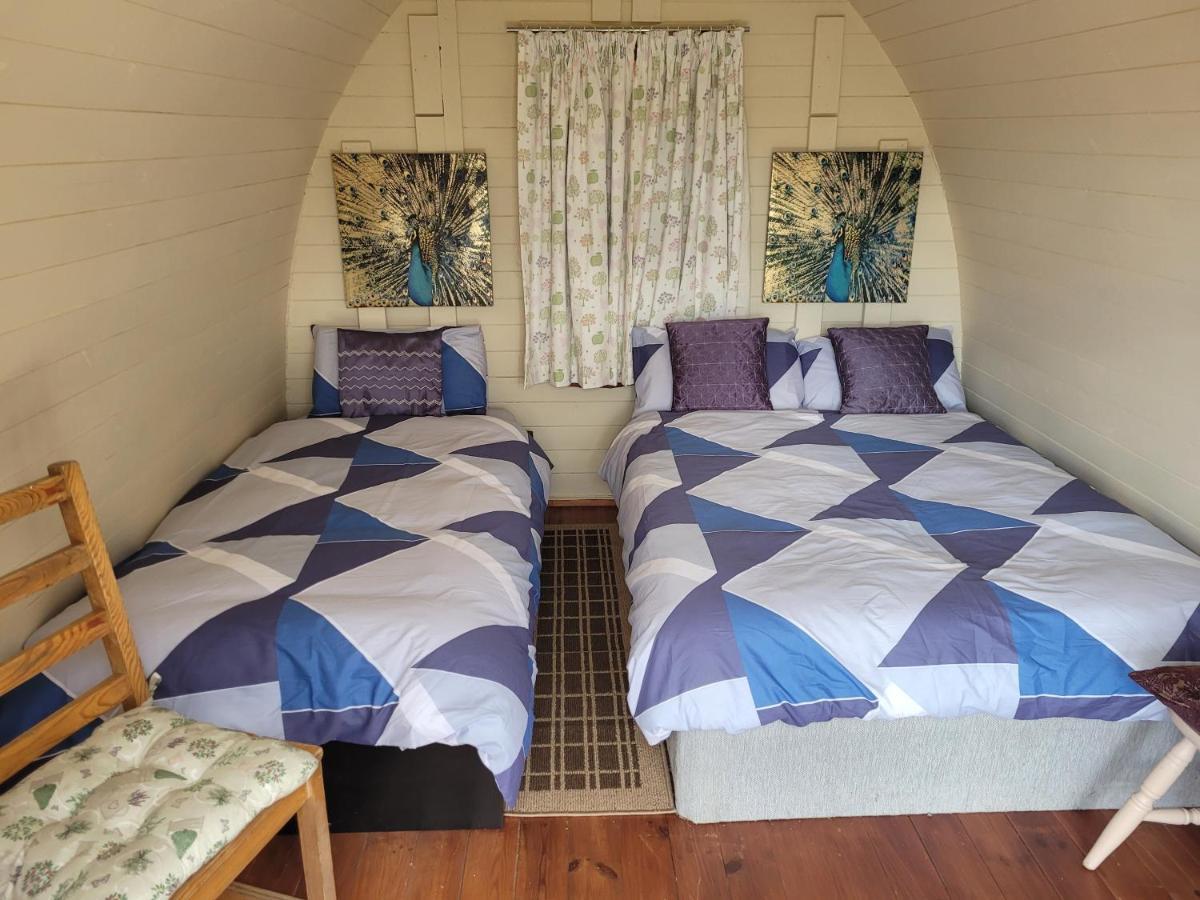 Shannon Estuary Glamping Effernan Zewnętrze zdjęcie