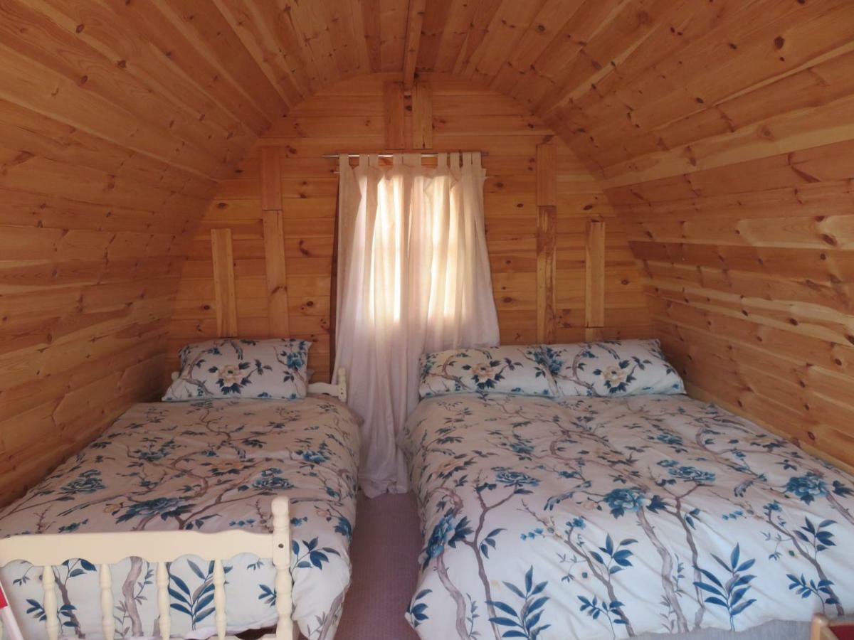 Shannon Estuary Glamping Effernan Zewnętrze zdjęcie