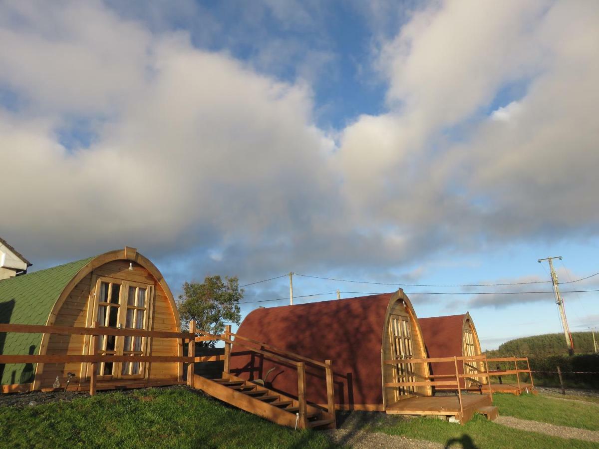 Shannon Estuary Glamping Effernan Zewnętrze zdjęcie