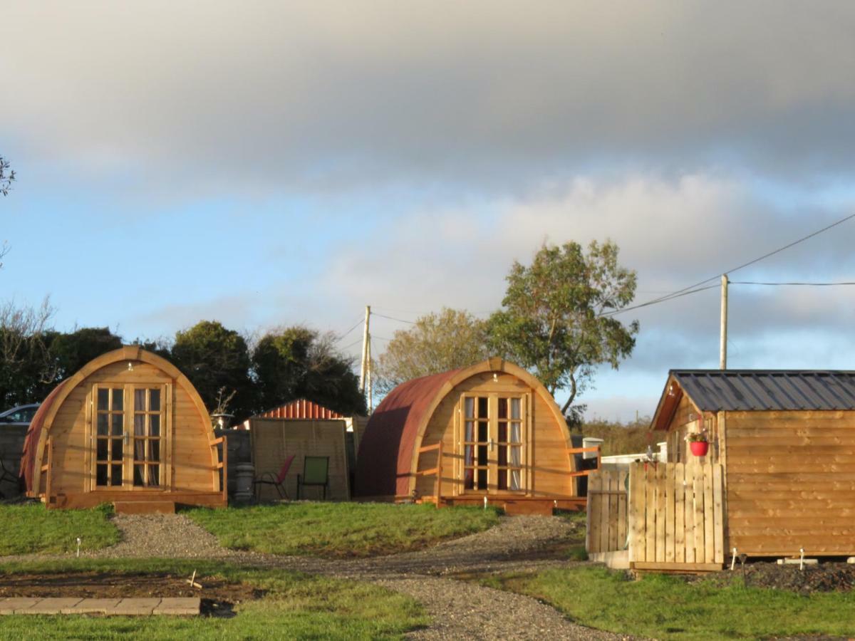 Shannon Estuary Glamping Effernan Zewnętrze zdjęcie