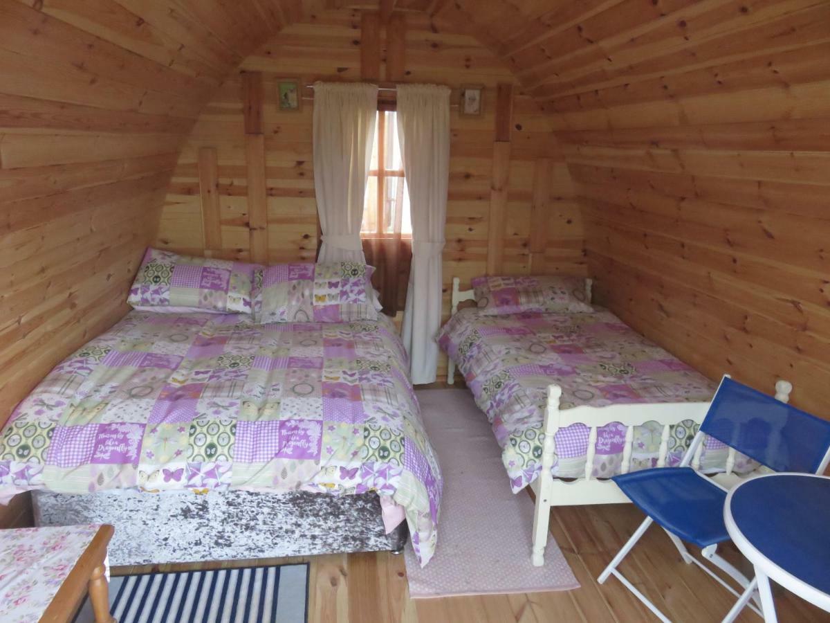 Shannon Estuary Glamping Effernan Zewnętrze zdjęcie