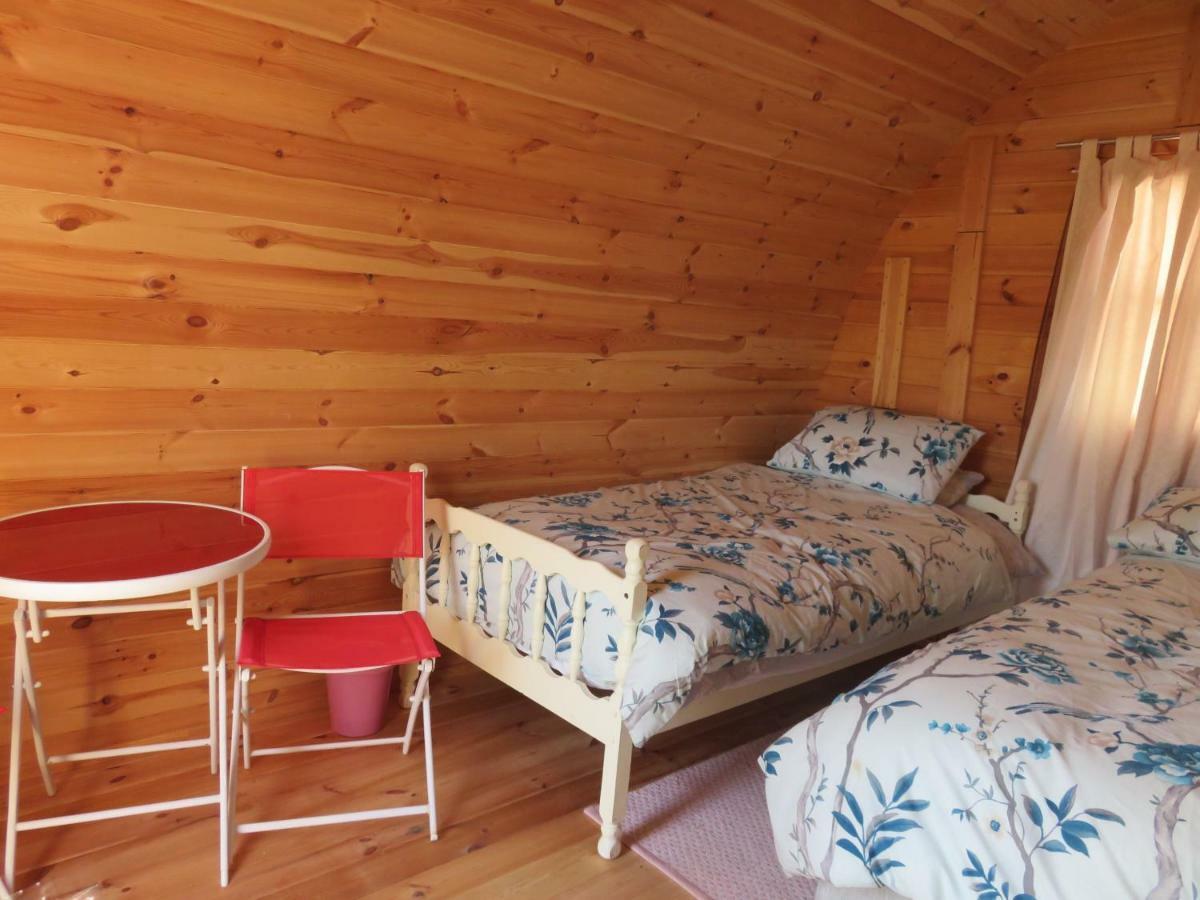 Shannon Estuary Glamping Effernan Zewnętrze zdjęcie
