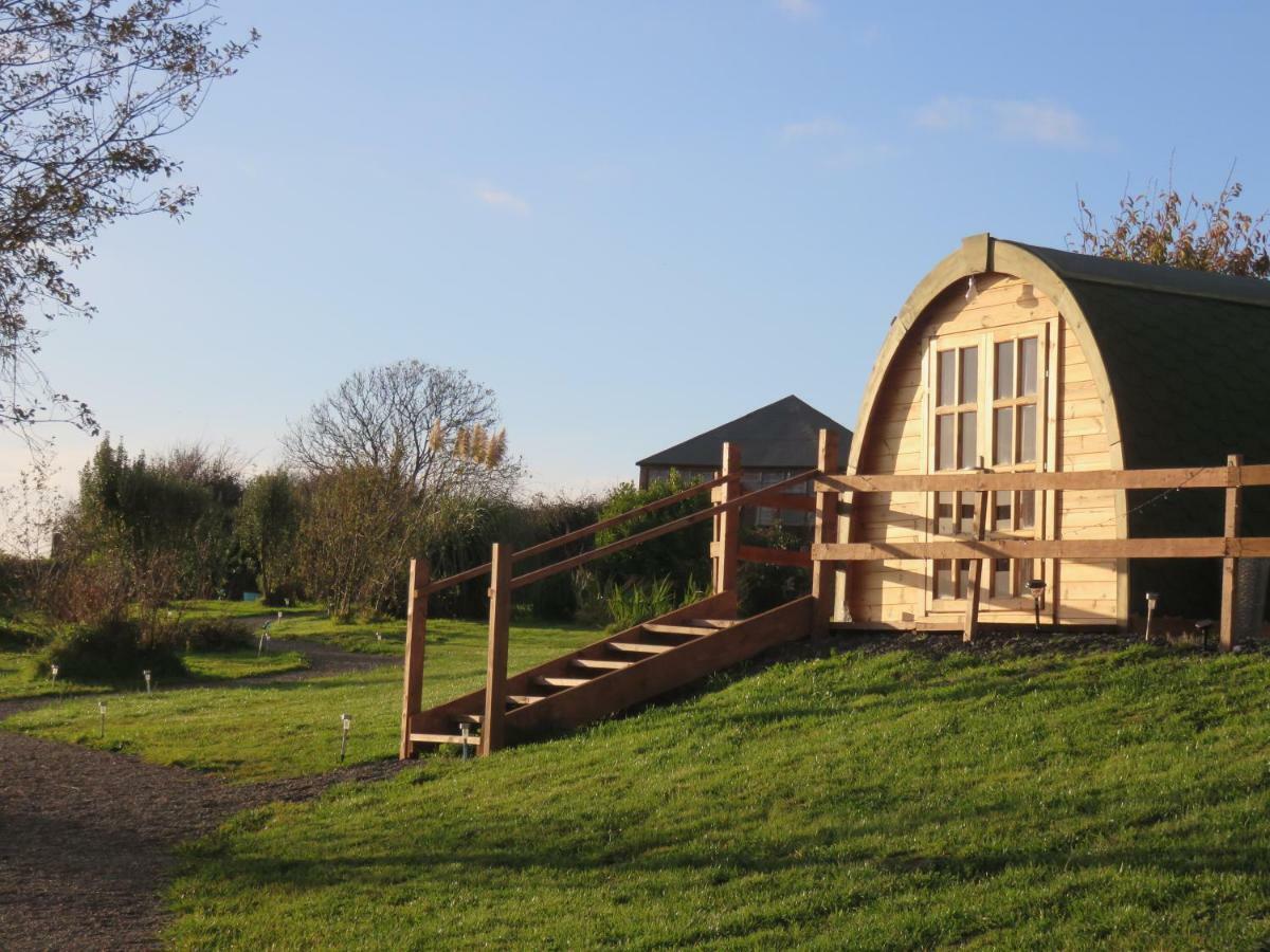 Shannon Estuary Glamping Effernan Zewnętrze zdjęcie